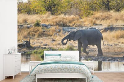 Behang - Fotobehang Baby olifant aan een plas met water in Namibië - Breedte 330 cm x hoogte 220 cm