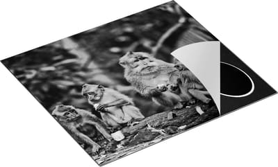 Chefcare Inductie Beschermer Groep Apen Eten Bananen in het Bos - Zwart Wit - 60x50 cm - Afdekplaat Inductie - Kookplaat Beschermer - Inductie Mat