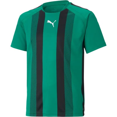 Kinder Sportshirt Puma Team Liga Striped