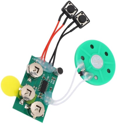 Dailygoods- Spraakgeluidchip 120 Seconden Opneembaar - Wenskaartchip - Geschenken - Uitnodigingen - Handgemaakte Producten - Eenvoudige Bediening - Geluidsmodule