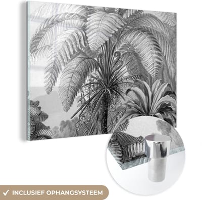 MuchoWow® Glasschilderij 150x100 cm - Schilderij acrylglas - Planten - Zwart wit - Design - Illustratie - Botanisch - Foto op glas - Schilderijen