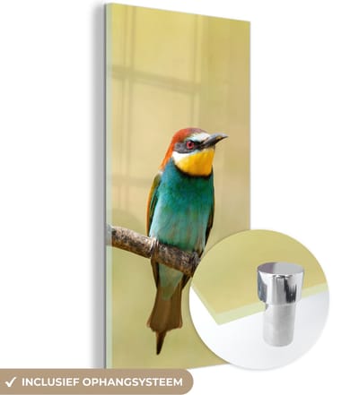 MuchoWow® Glasschilderij 20x40 cm - Schilderij acrylglas - Vogels - Dieren - Bijeneter - Foto op glas - Schilderijen