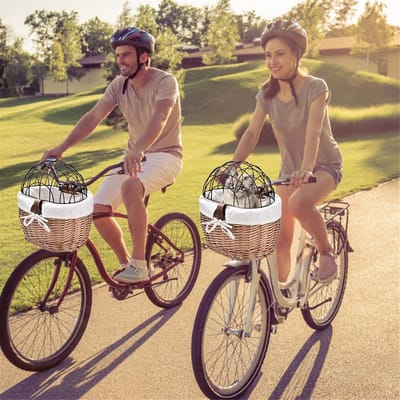 Fietsmand Huisdier - Transportmand Kat - Veilig Vervoer - Afneembaar Deksel - 30 cm Ruim - Bruin