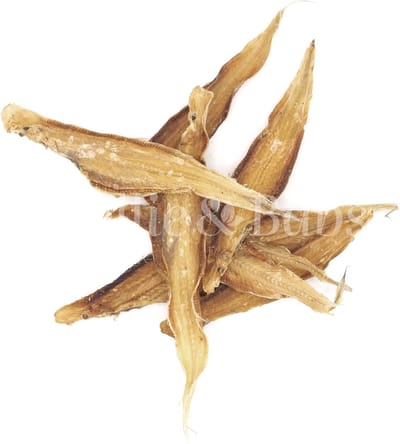 Mollie & Babs - Gedroogde Tongetjes - Hondensnacks - Kauwsnack - Gedroogde Vis - 100% Tong - 100% Natuurlijk - Hypoallergeen - 200 gram