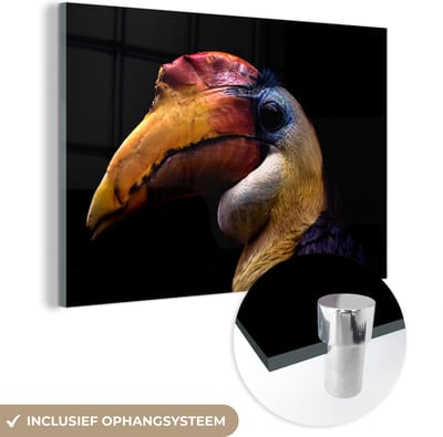 MuchoWow® Glasschilderij 120x80 cm - Schilderij acrylglas - Vogel - Snavel - Zwart - Foto op glas - Schilderijen