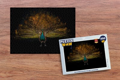 Puzzel Pauw - Veren - Nacht - Legpuzzel - Puzzel 500 stukjes