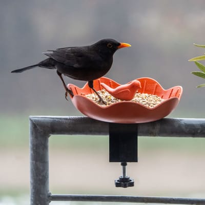 CJ Wildlife - Balus Balkon Voederschaal voor vogels - Terracotta - Duurzam en plantbased - Cadeau - Vogelvoederplek