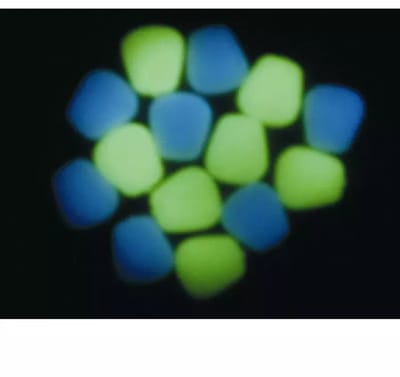 Enterprise Tackle Pop-up Corn Niteglow