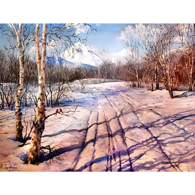 5D Diy Diamant Schilderij Winter Bos Ronde Boor Volledige Diamant Borduren Handwerken Woondecoratie 20X30CM