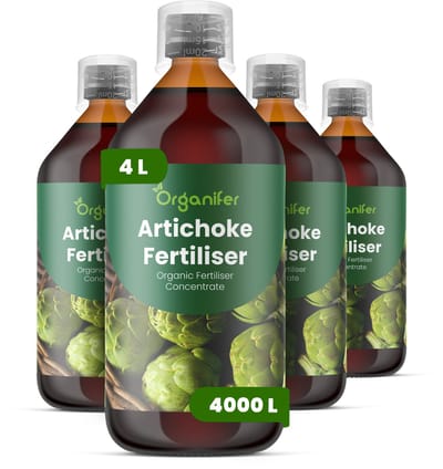Vloeibare Meststof Voor Artisjok 4X1 L Voor 4000 L - Npk 2-1-8 - Krachtige Groei - Rechtopstaand Blad - Knopvorming - Grotere Artisjokkoppen - Sterke Plantstructuur - Efficiënt Watergebruik - Diepe Wortelgroei -Hoge Opbrengst - Organifer