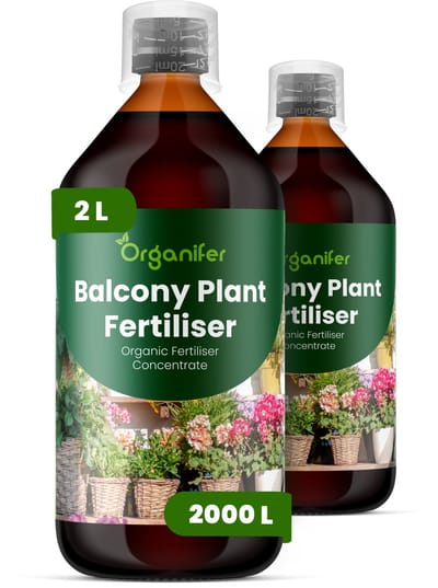 Vloeibare Meststof Voor Balkonplanten 2X1 L Voor 2000 L - Npk 2-1-8 - Balkonplanten - Bloemproductie - Lange Bloeiperiode - Volle Plantstructuur - Windbestendig - Hittebestendig - Droogtetolerantie - Sterke Wortels - Balkonbakken - Organifer
