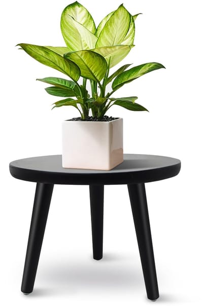 Dailygoods- Plantenstandaard Zwaartekracht - Plantenkruk met 3 Poten - Bloemkruk voor Binnen/Buiten - Zwart - 22 x 28 cm - Houten Design