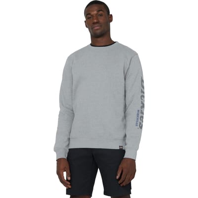 Dickies Grafisch Sweatshirt