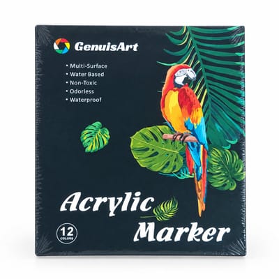 Acrylmarkers - 12 kleuren - dubbele ronde punt, waterbestendig en sneldrogend - voor kunst, graffiti en tekenen - basisverpakking