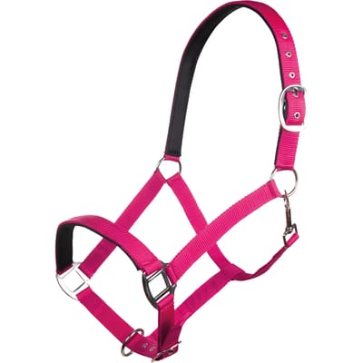 Nylon halster voor paard met zachte voering HKM Charming