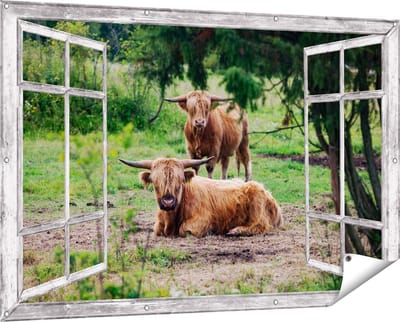 Gards Tuinposter Doorkijk Twee Schotse Hooglanders in de Bossen - 150x100 cm - Tuindoek - Tuindecoratie - Wanddecoratie buiten - Tuinschilderij