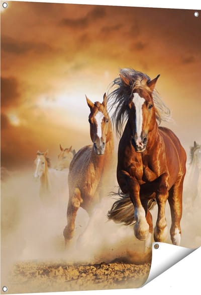 Gards Tuinposter Wilde Paarden in het Zand - 80x100 cm - Tuindoek - Tuindecoratie - Wanddecoratie buiten - Tuinschilderij