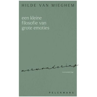 Een Kleine Filosofie Van Grote Emoties - Hilde van Mieghem