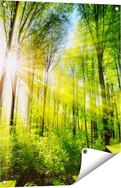 Gards Tuinposter Weg Omringd met Bomen in het Bos - 60x80 cm - Tuindoek - Tuindecoratie - Wanddecoratie buiten - Tuinschilderij