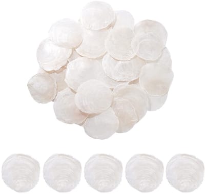 Dailygoods- Capiz Schelpen 60 Stuks - Natuurlijke Witte Schelpen - Ongeboord - Decoratie - Handwerken - Lichtgewicht en Stevig - Decoratieve Schelpen
