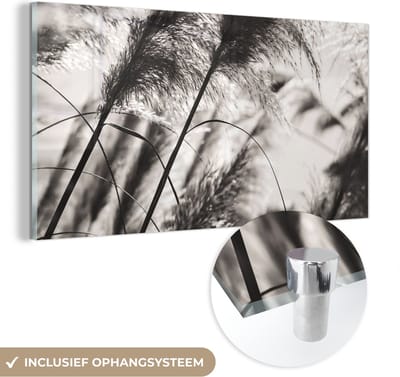 MuchoWow® Glasschilderij 40x20 cm - Schilderij acrylglas - Pampasgras - Zwart - Wit - Plant - Foto op glas - Schilderijen
