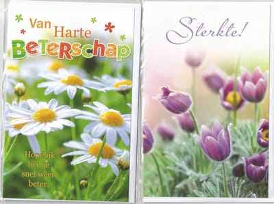 Beterschap Sterkte Wenskaarten 8 stuks
