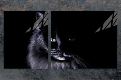 TMK ArtDeko - Snijplank - 100x52 cm - Glas - Kat Motiv