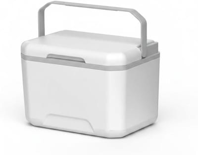 Kleine Koeler - IJskistkoeler Koelbox - Buitengebruik - Voedselveilig Materiaal - 5L - Wit/Grijs