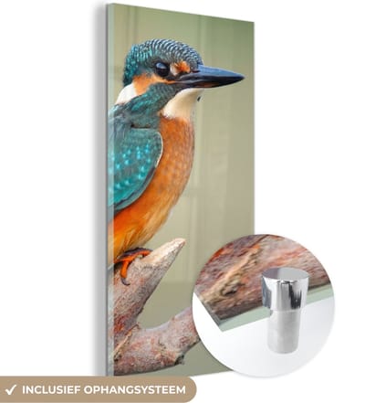 MuchoWow® Glasschilderij 20x40 cm - Schilderij acrylglas - Vogel - IJsvogel - Tak - Foto op glas - Schilderijen
