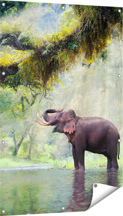 Gards Tuinposter Vrolijke Olifant in het Water - 80x120 cm - Tuindoek - Tuindecoratie - Wanddecoratie buiten - Tuinschilderij