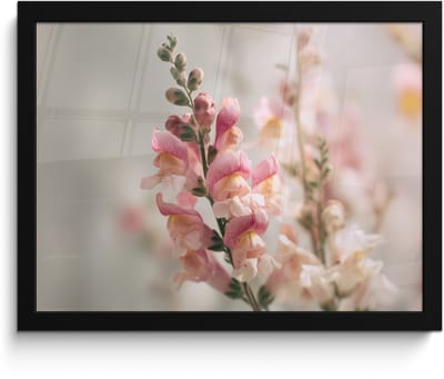 Poster in lijst - Fotolijst 40x30 cm - Posters - Bloem - Leeuwenbek - Roze - Stengel - Posterlijst zwart - Decoratie - Wanddecoratie woonkamer - Muurdecoratie slaapkamer