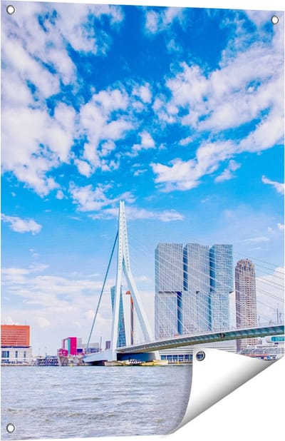 Gards Tuinposter Erasmusbrug aan het Water in Rotterdam - 60x80 cm - Tuindoek - Tuindecoratie - Wanddecoratie buiten - Tuinschilderij