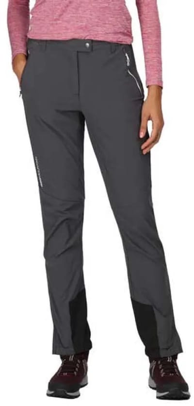 Regatta Mountain Iii Broek Grijs 8 / Short Vrouw
