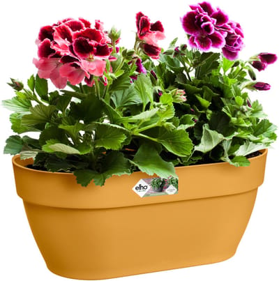 Elho Vibia Campana Wall Basket 35 - Wand Bloempot voor Buiten - 100% Gerecycled Plastic - Ø 35.0 x H 14.8 cm - Honinggeel