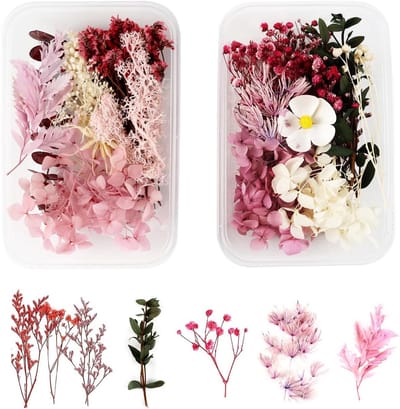 2 Dozen Echte Gedroogde Bloemen en Bloemblaadjes voor Knutselen en Decoratie