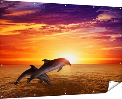 Gards Tuinposter Twee Dolfijnen bij de Zonsondergang - 180x120 cm - Tuindoek - Tuindecoratie - Wanddecoratie buiten - Tuinschilderij