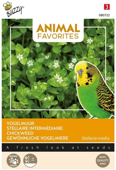 Vogelmuur