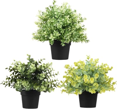 Mini Nepplanten 3-Pack voor Binnen en Buiten - Perfecte Tafel- en Wanddecoratie
