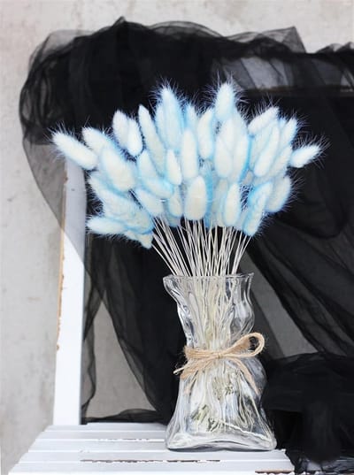 Gedroogde Hazenstaartjes - Konijnenstaart Gras - Decoratie Boeketten - Natuurlijk Gedroogd - Ongeveer 45 cm - Natuurlijk