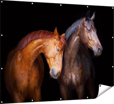 Gards Tuinposter Twee Bruine Paarden Koppel - Liefde - 160x120 cm - Tuindoek - Tuindecoratie - Wanddecoratie buiten - Tuinschilderij
