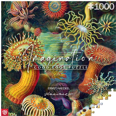 Good Loot Ernst Haeckel Imagination Puzzle Sea Anemones/Stworzenia morskie (1000 pieces) Puzzles