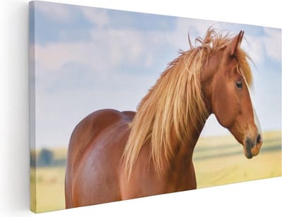 Artaza Canvas Schilderij Paard - 40x20 cm - Klein - Wanddecoratie Paarden - Muurdecoratie Natuur - Schilderijen Op Canvas Woonkamer