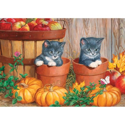 5D bricolage diamant broderie diamant mosaïque citrouille chat rond diamant peinture point de croix 20X30CM gray