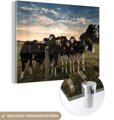 MuchoWow® Glasschilderij 40x30 cm - Schilderij acrylglas - Dieren - Koe - Koeien - Foto op glas - Schilderijen