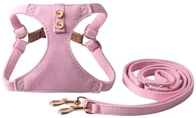 Dailygoods- Hondentuigje Verstelbaar - Hondenriem 125 cm - Instap Tuigje - Geschikt voor Kleine/Middelgrote Honden - Robuuste Gespen - Multifunctionele Lijn - Harnas