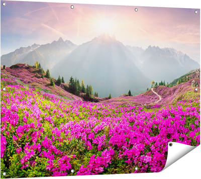 Gards Tuinposter Rhododendron Bloemenveld in de Alpen - 120x90 cm - Tuindoek - Tuindecoratie - Wanddecoratie buiten - Tuinschilderij