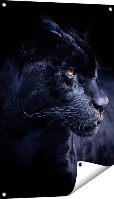 Gards Tuinposter Zwarte Panter - 60x90 cm - Tuindoek - Tuindecoratie - Wanddecoratie buiten - Tuinschilderij