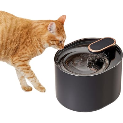 Intelligente elektrische automatische huisdierwaterfontein Geluidsarme waterdispenser met 3L/101OZ L Water fountain donkerblauwe kleur