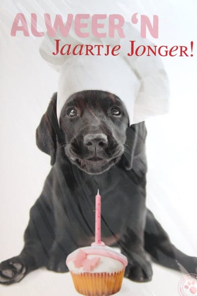 Luxe Wenskaart Verjaardag - Hartelijk Gefeliciteerd - By Myrna - Hond Puppy - 14,5x21cm - Dubbele Kaart - Met Envelop - Luxe Wens Kaart - Greeting Card - 1 Stuks - In Folie Verpakt - Birthday - Geburtstag - Anniversaire - Gratis Verzonden