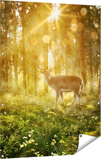 Gards Tuinposter Hert in Bos met Zon - 90x120 cm - Tuindoek - Tuindecoratie - Wanddecoratie buiten - Tuinschilderij